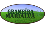 Grameira Marialva